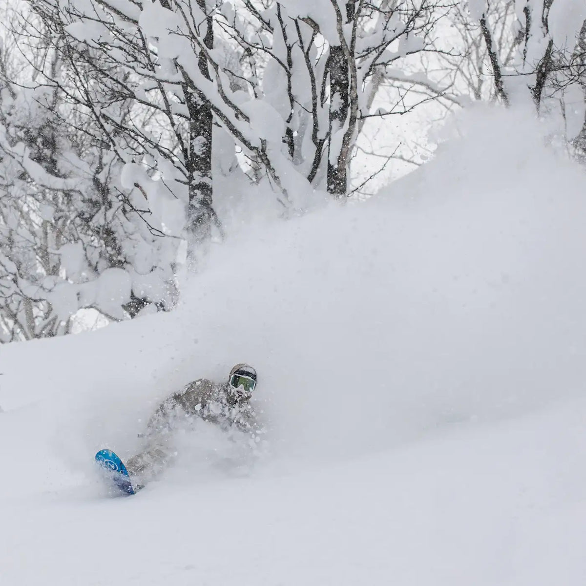 Beta 2026 | Expand Your Horizons | Nidecker | USA Beta Snowboards Nidecker Snowboards Premium Swiss