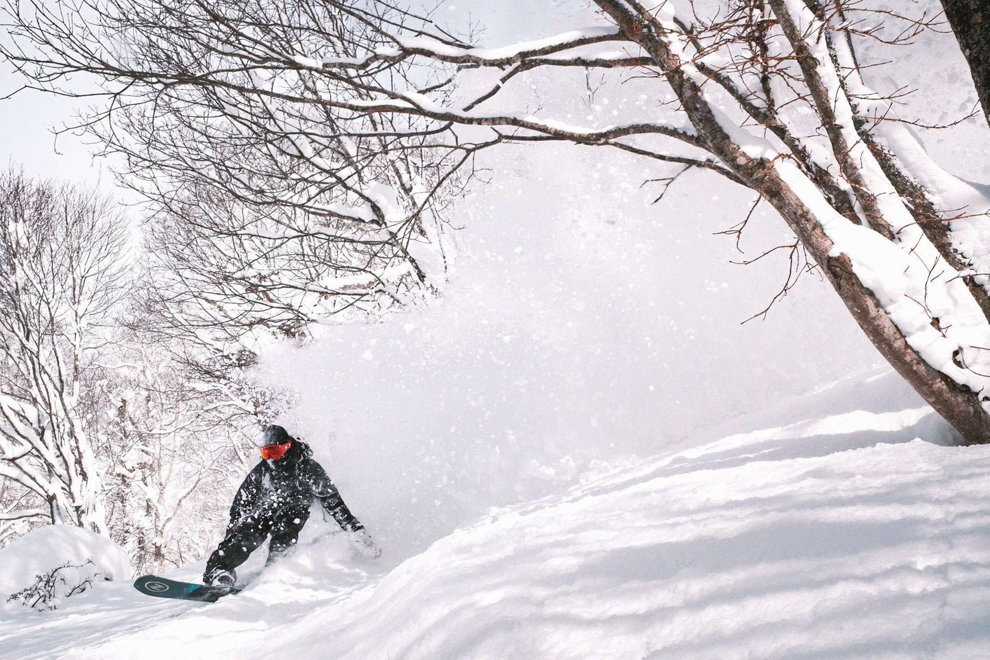 Escape Plus 2024 | Nidecker | USA Escape Plus 2024 Snowboards Nidecker Snowboards Premium Swiss