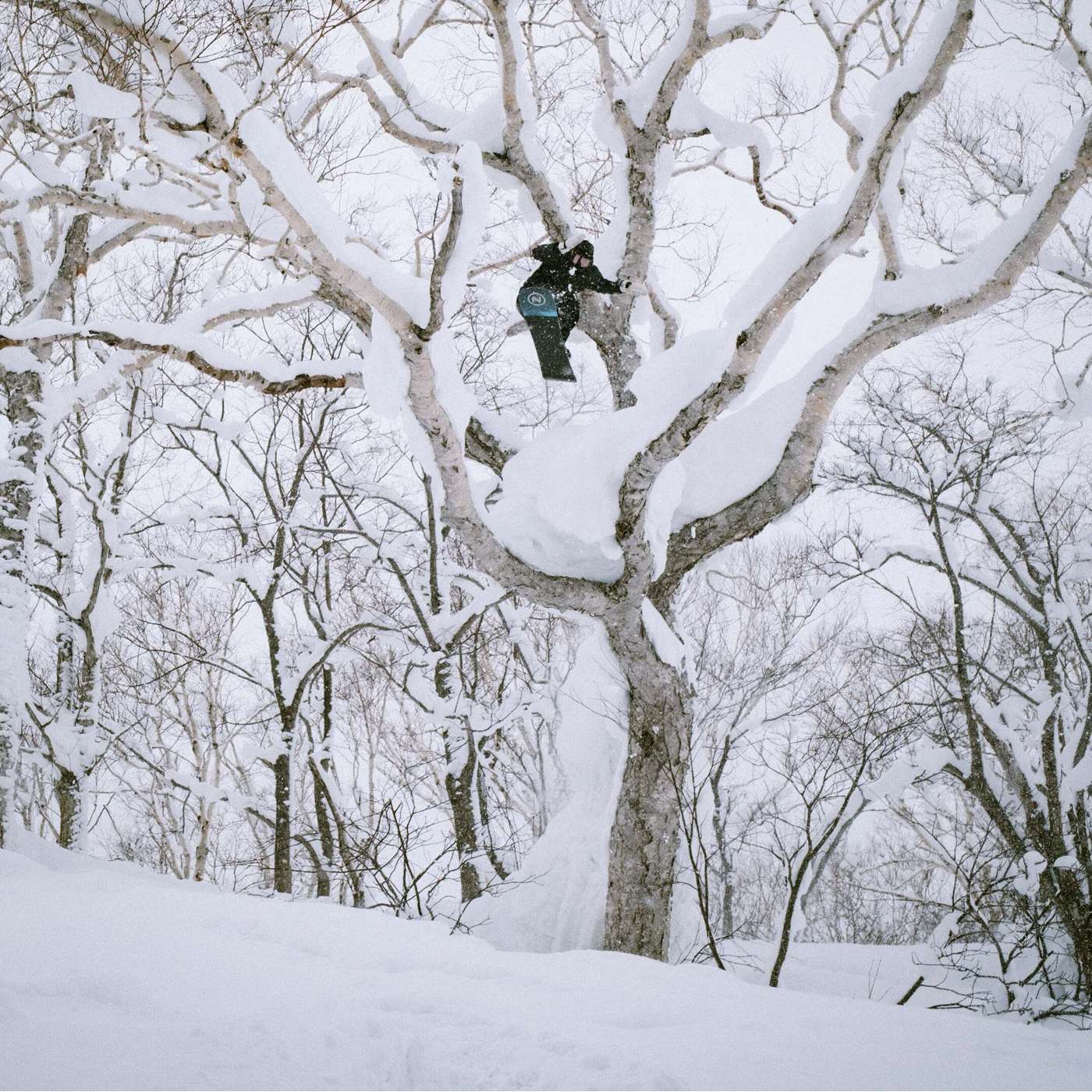 Escape Plus 2024 | Nidecker | USA Escape Plus 2024 Snowboards Nidecker Snowboards Premium Swiss