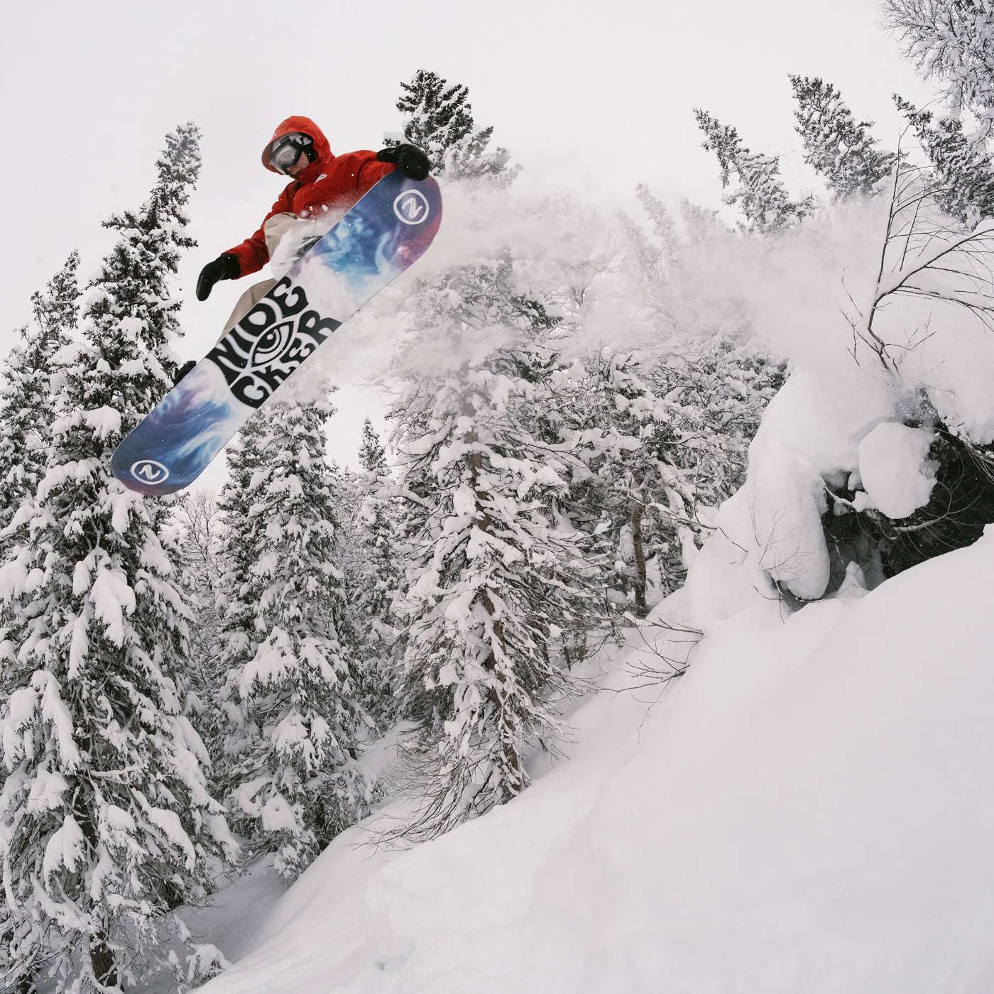 Gamma 2024 | Nidecker | USA