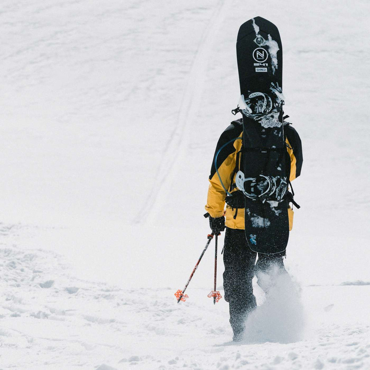 Megalight 2022 | Nidecker | USA Megalight 2022 Snowboards Nidecker Snowboards Premium Swiss