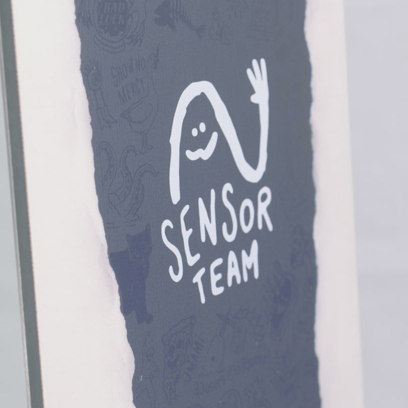 Sensor Team